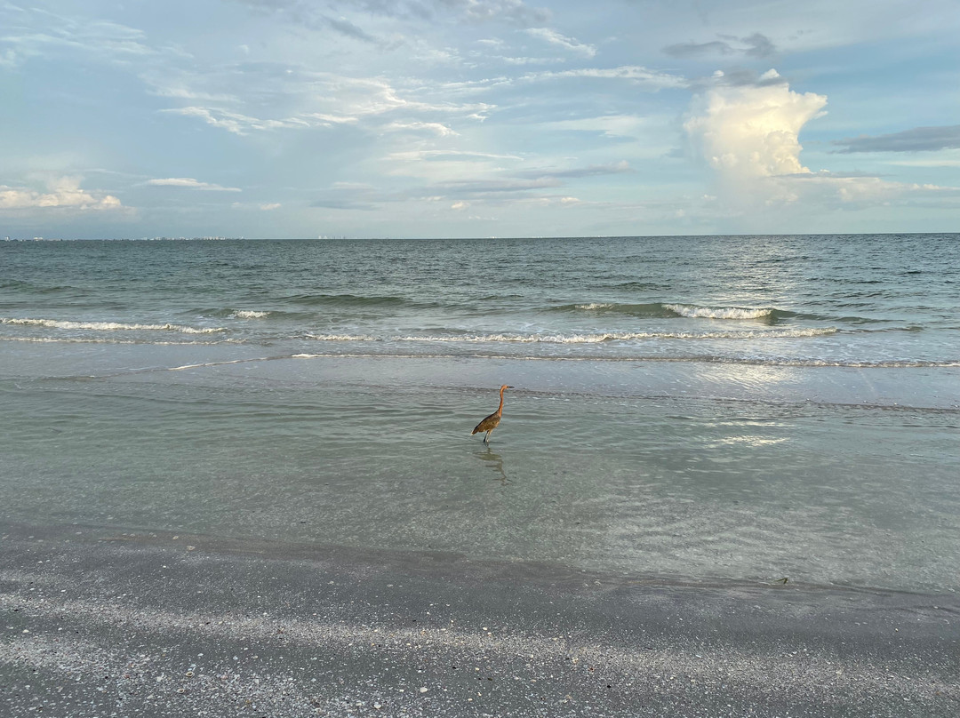 Sanibel Island Lighthouse景点图片