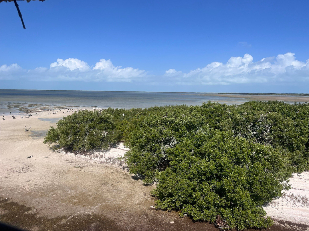My Holbox Tours景点图片
