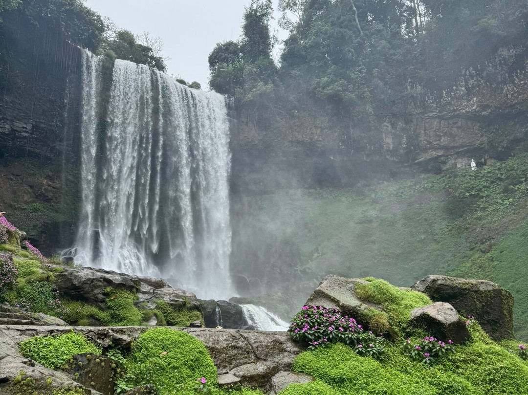 Dambri Waterfall-保禄县必去景点