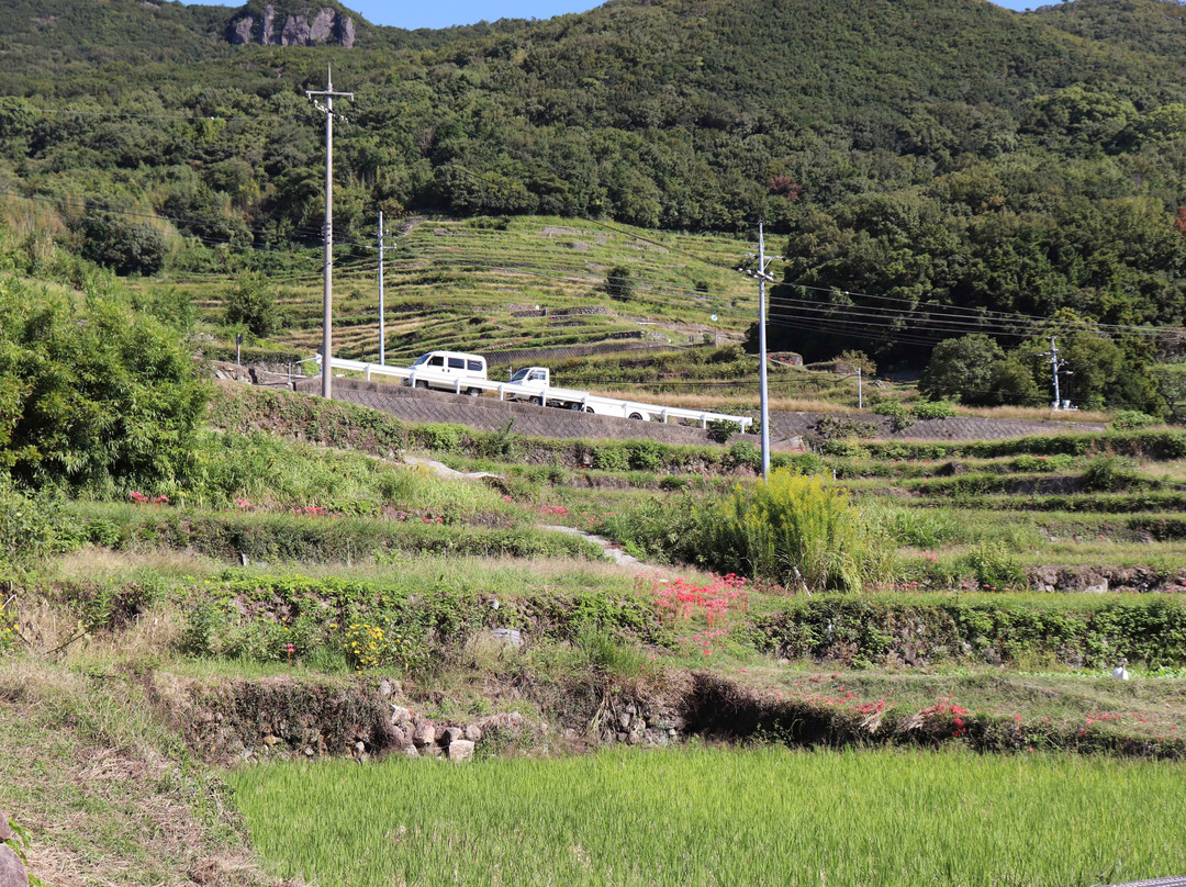 Nakayama Senmaida景点图片