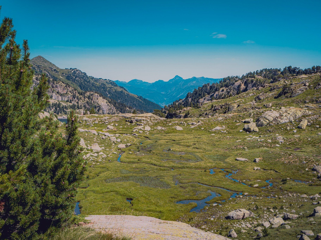 Circ de Colomers景点图片