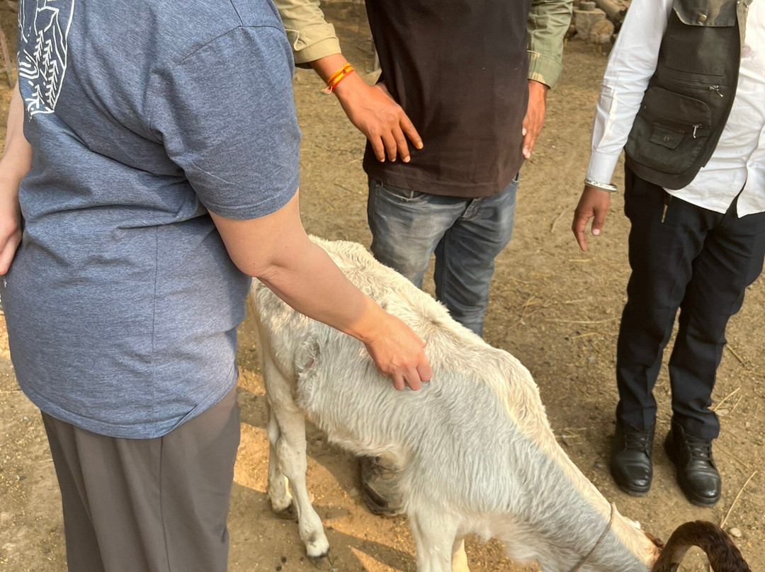 Animal Aid Unlimited景点图片