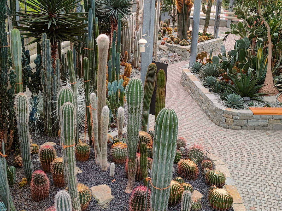 Stadtgarten景点图片