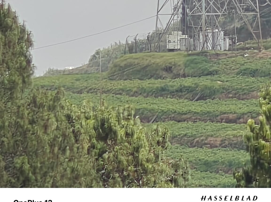 Hotel Gem Park Ooty主图