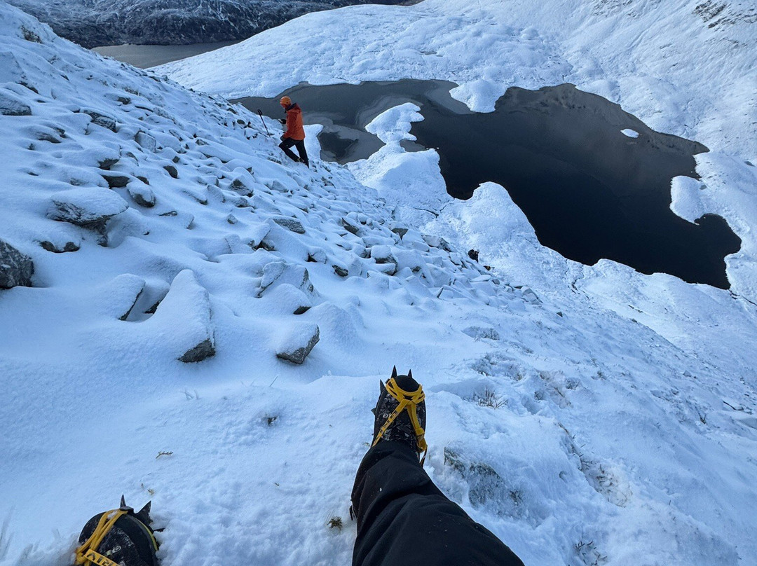 Rich Mountain Experiences景点图片