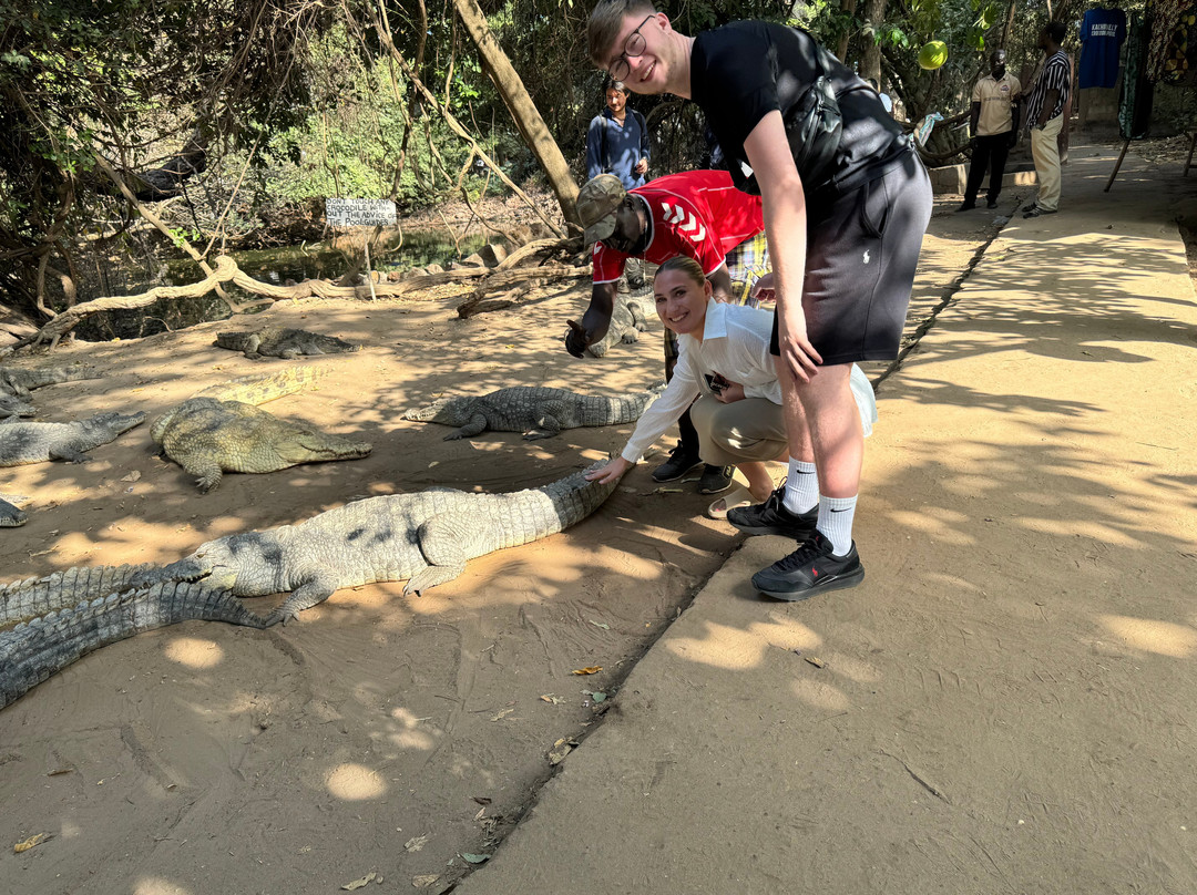 Gambia Taxi & Excursions景点图片