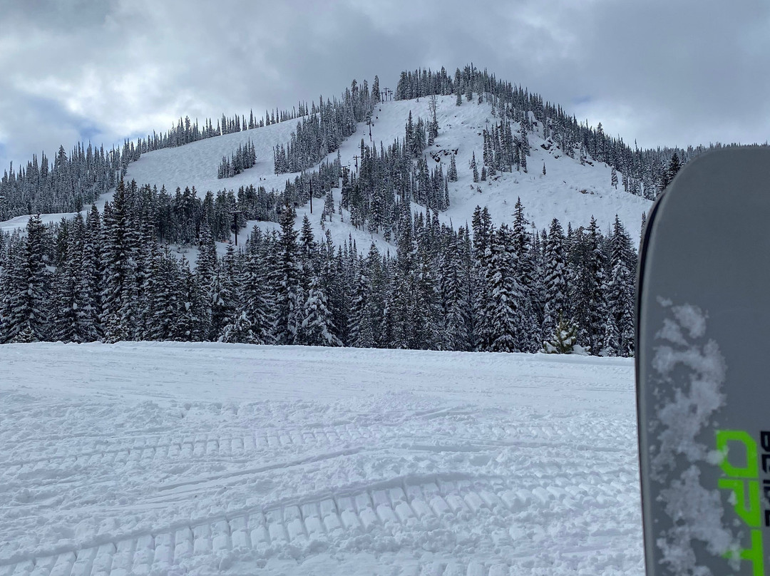 Super 8 by Wyndham Missoula/Brooks Street主图