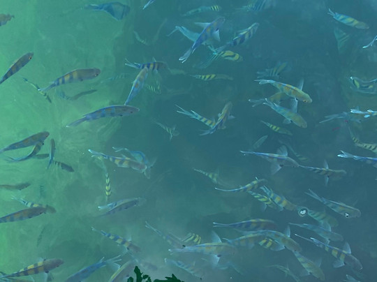 Scuba Club-卡拉奇必去景点