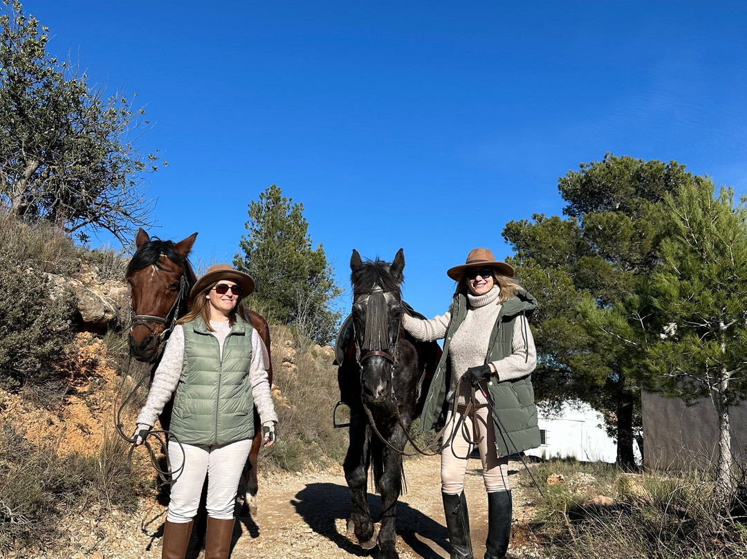 Ocio Ecuestre-Bunol必去景点