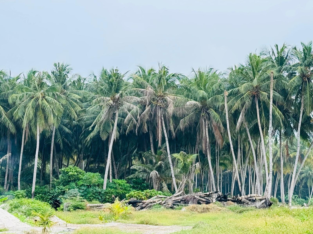 Hanimaadhoo Dive and Watersports-哈霓玛阿都必去景点