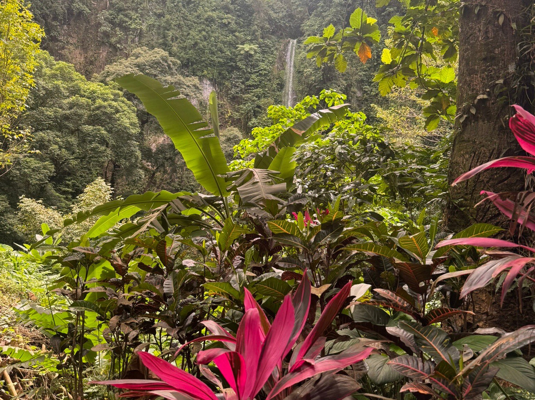 Katibawasan Falls-卡米金省必去景点