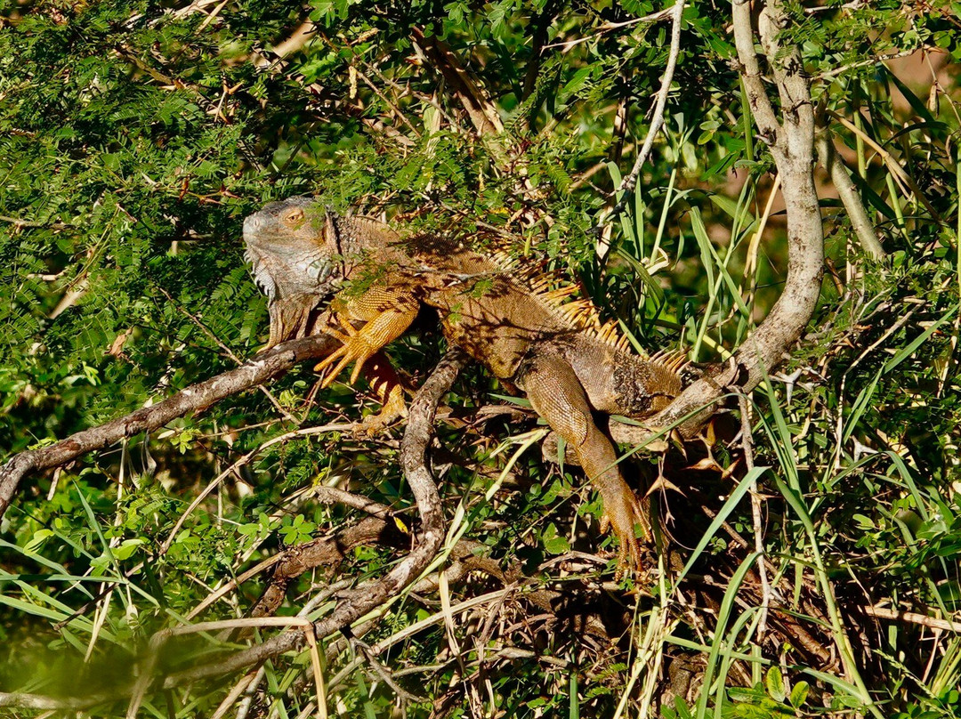 Rancho Humo Estancia主图