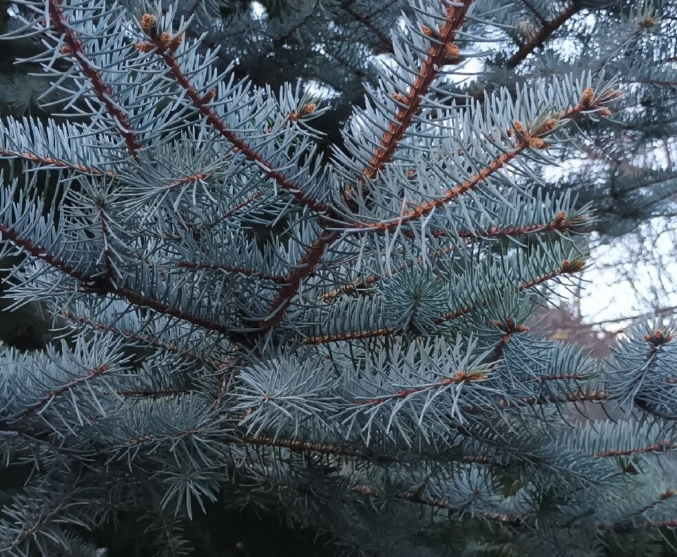 Inatel Manteigas Hotel主图