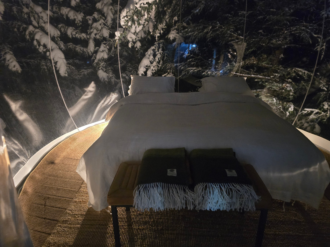 Buubble Tours-雷克雅未克必去景点
