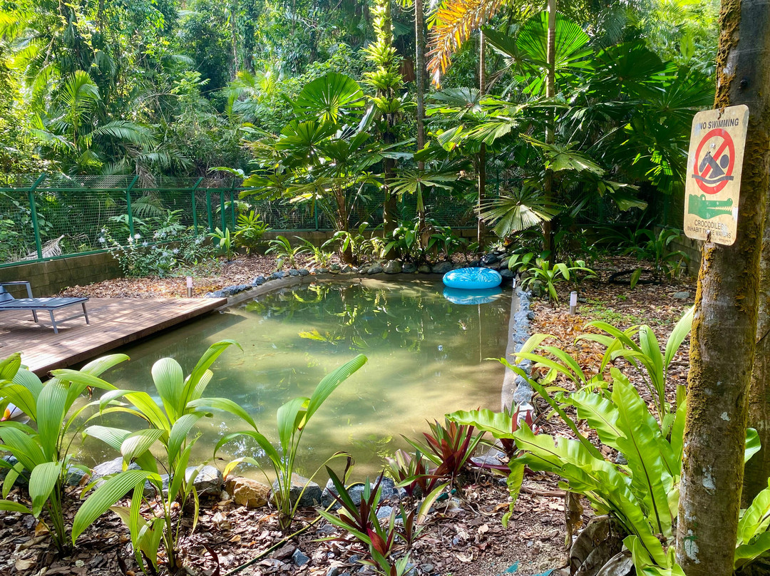 Daintree Siesta主图