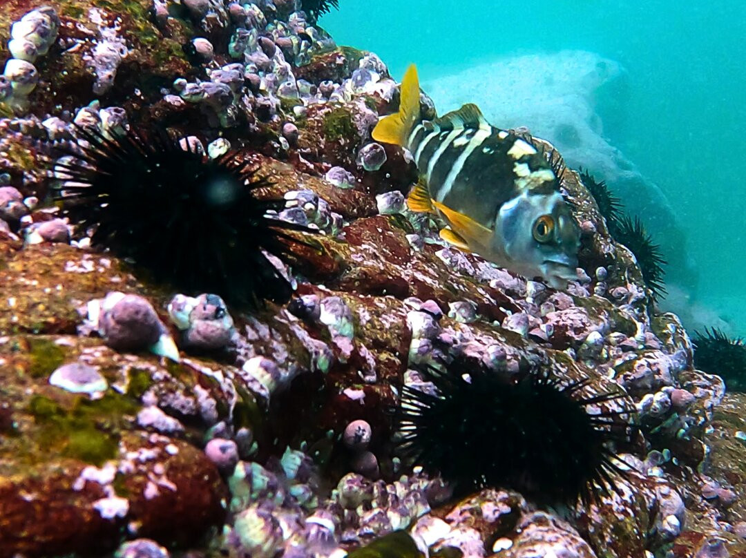 Sb Divers-利马必去景点