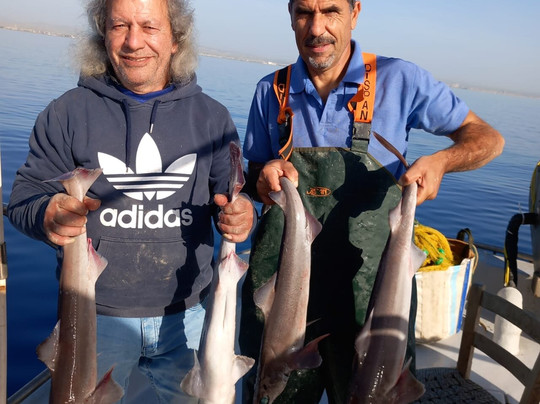 Elias Fishing Cy-拉纳加必去景点