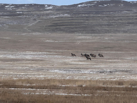 Baikal Secrets-伊尔库茨克必去景点