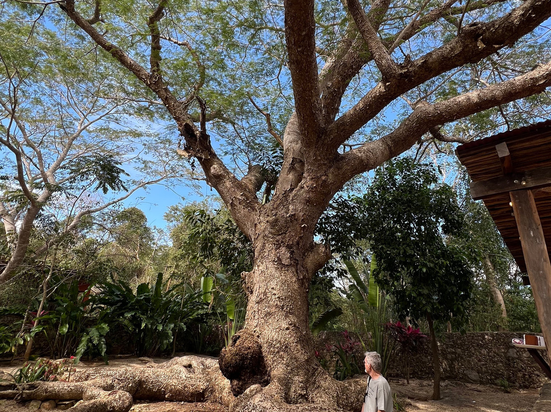 Tsukán Santuario de Vida-Piste必去景点