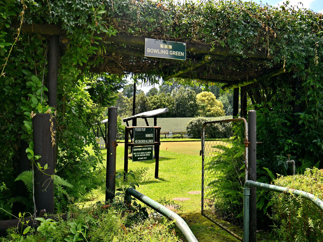 Champagne Castle Hotel主图