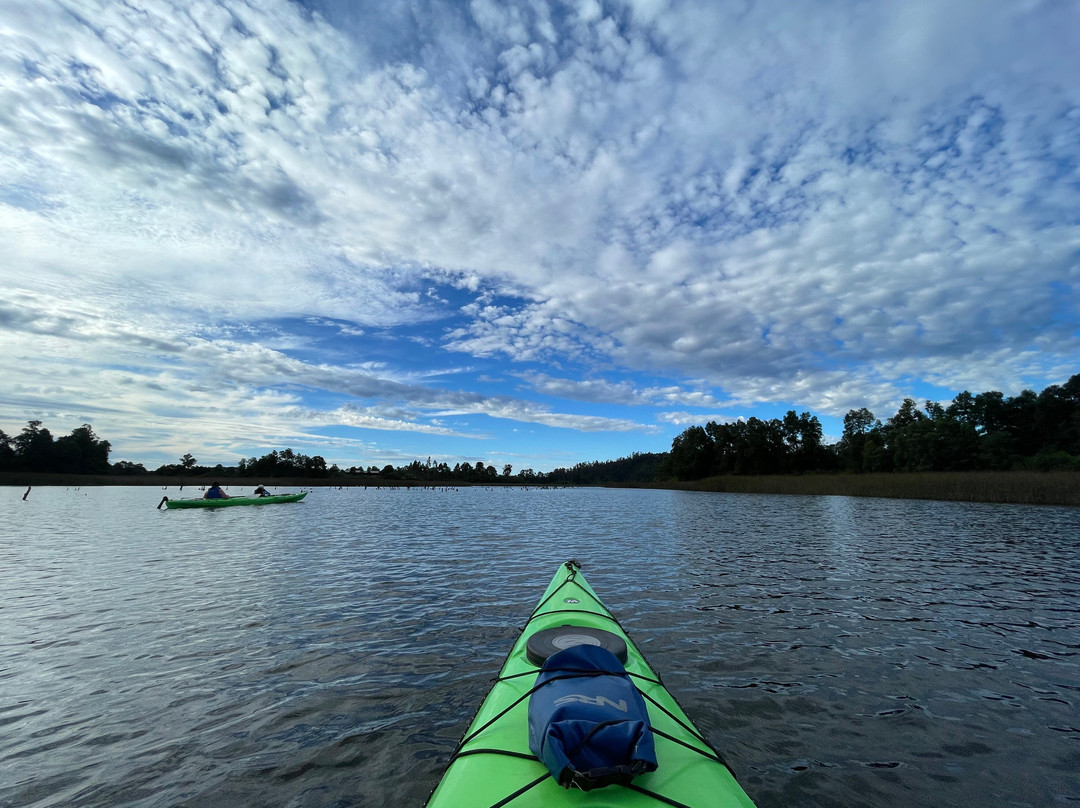 Rio Vivo-瓦尔迪维亚必去景点
