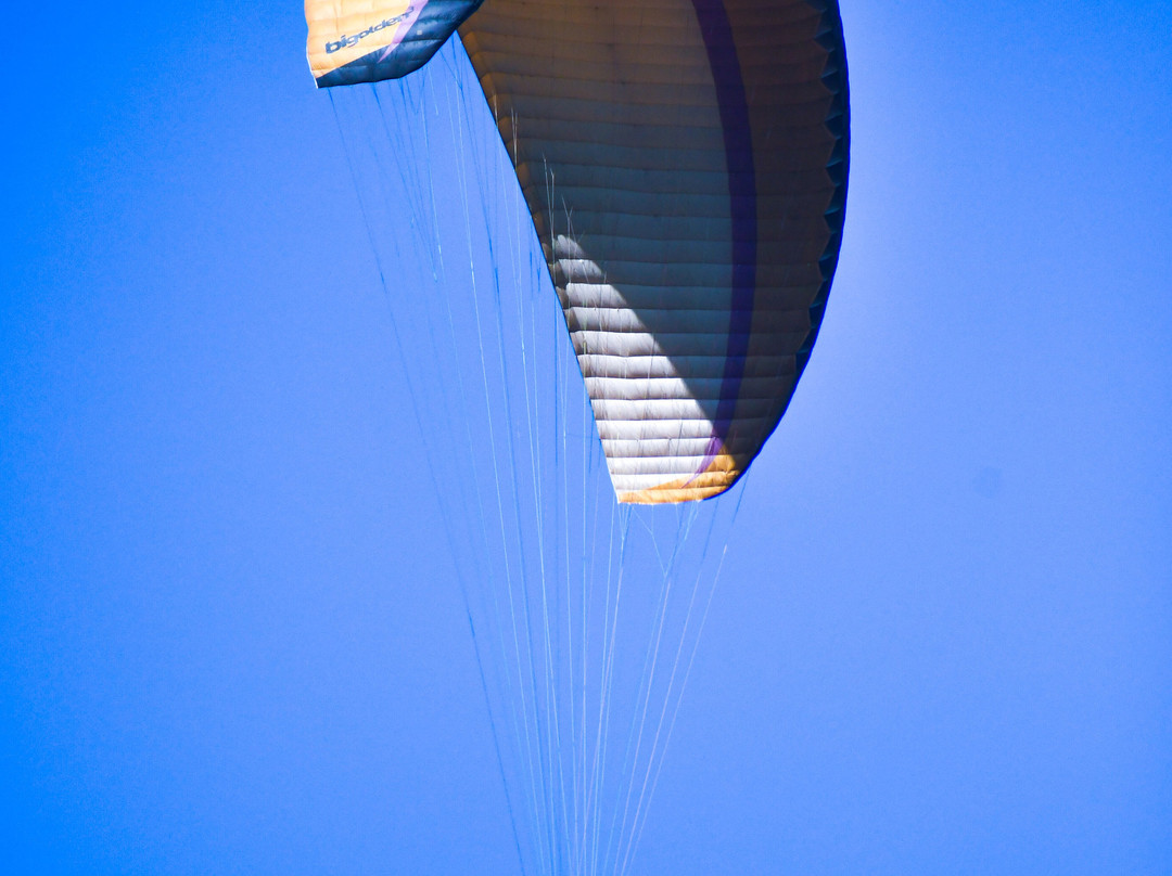 Bir Billing Paragliding Adventure景点图片