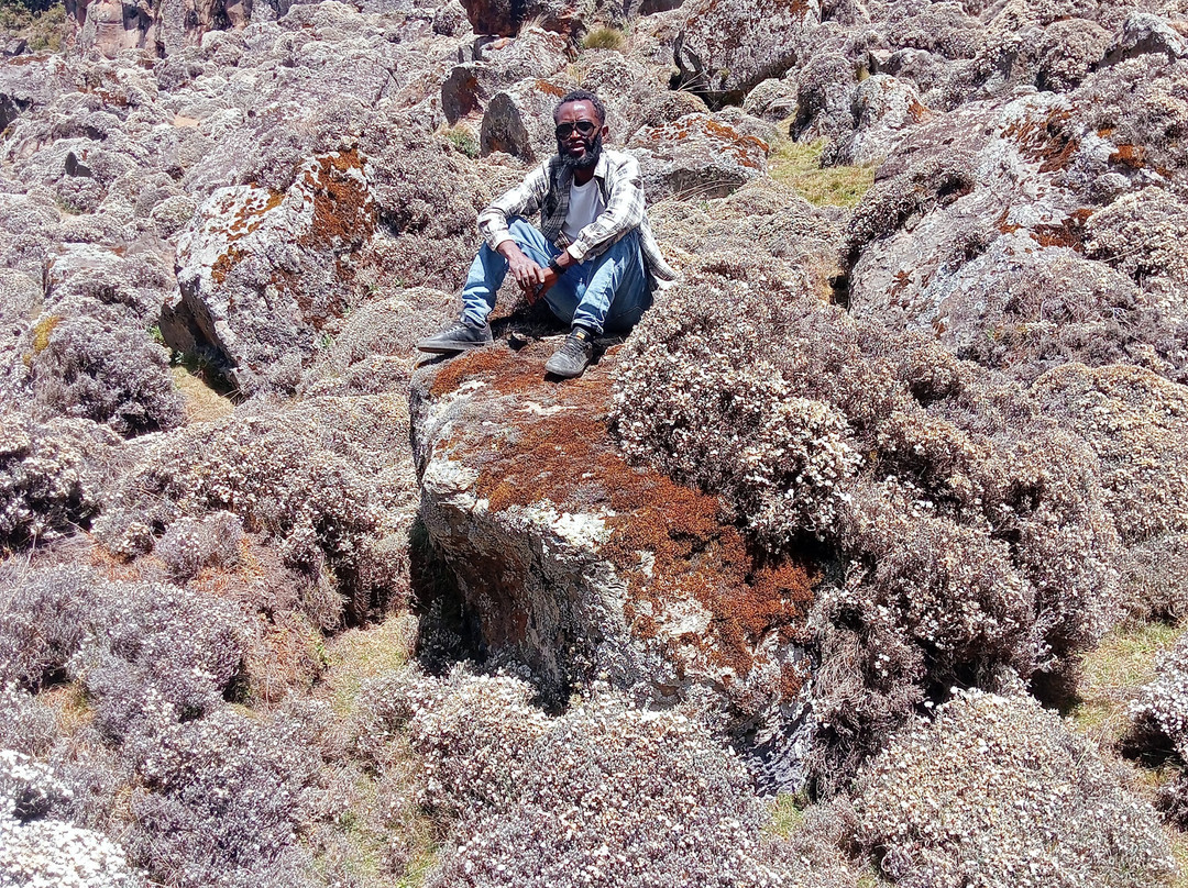 Bale Mountains National Park-亚的斯亚贝巴必去景点