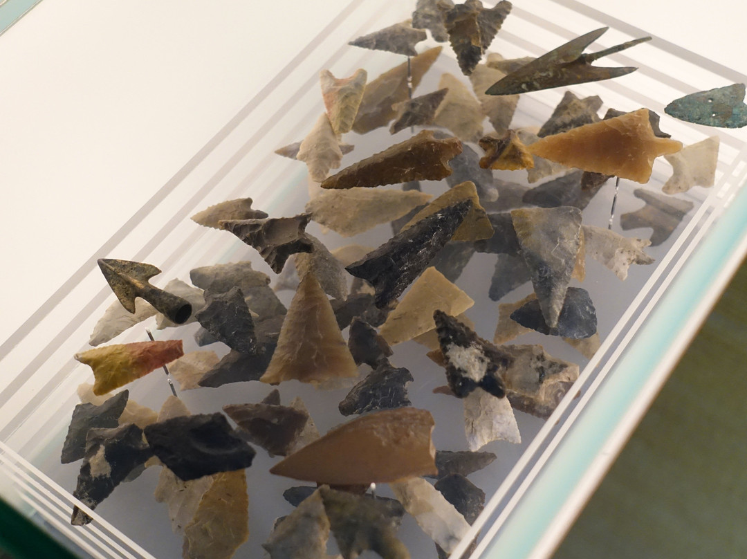 Laténium Parc et musée d'archéologie-Hauterive必去景点