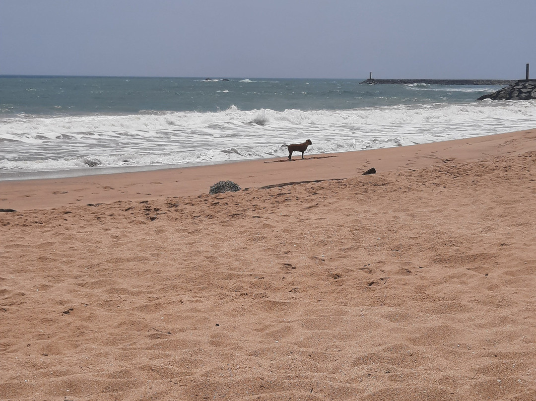 安纳塔亚海滩酒店主图