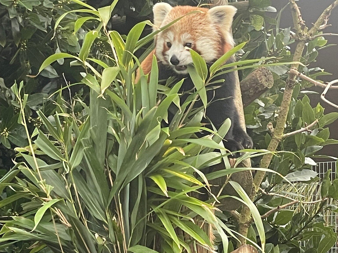 Amazon World Zoo Park-桑当必去景点