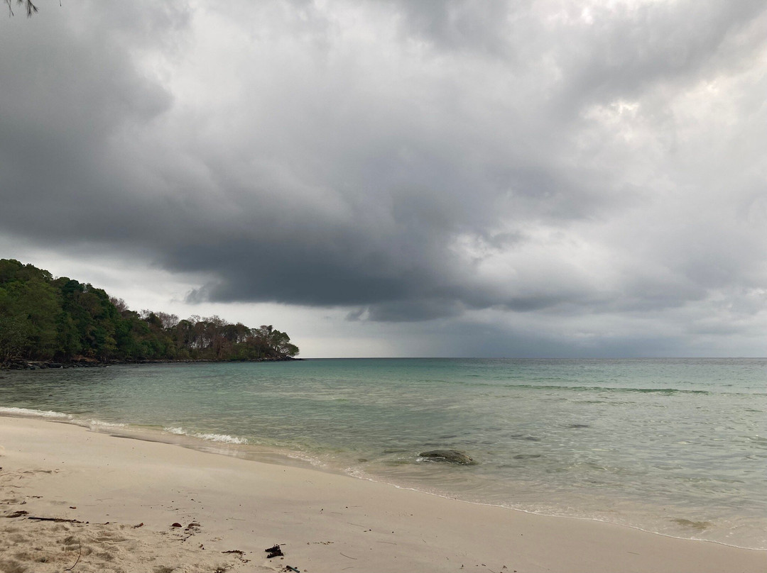 Coconut Beach景点图片