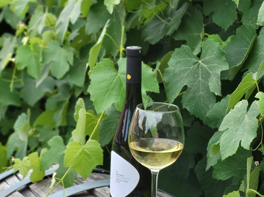 80 Winery-Vasilika必去景点