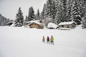 Hameau Et Bois De Cholliere-Pralognan-la-Vanoise必去景点