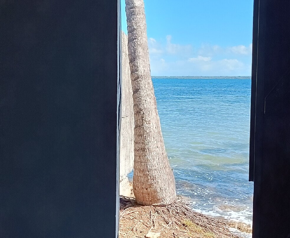 Fabrice - Canal Rotours-Morne-A-l'Eau必去景点