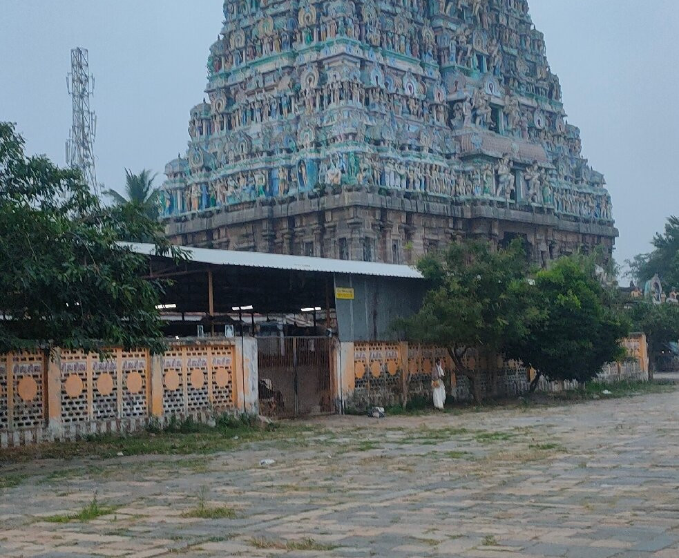 Thillai Nataraja Temple景点图片