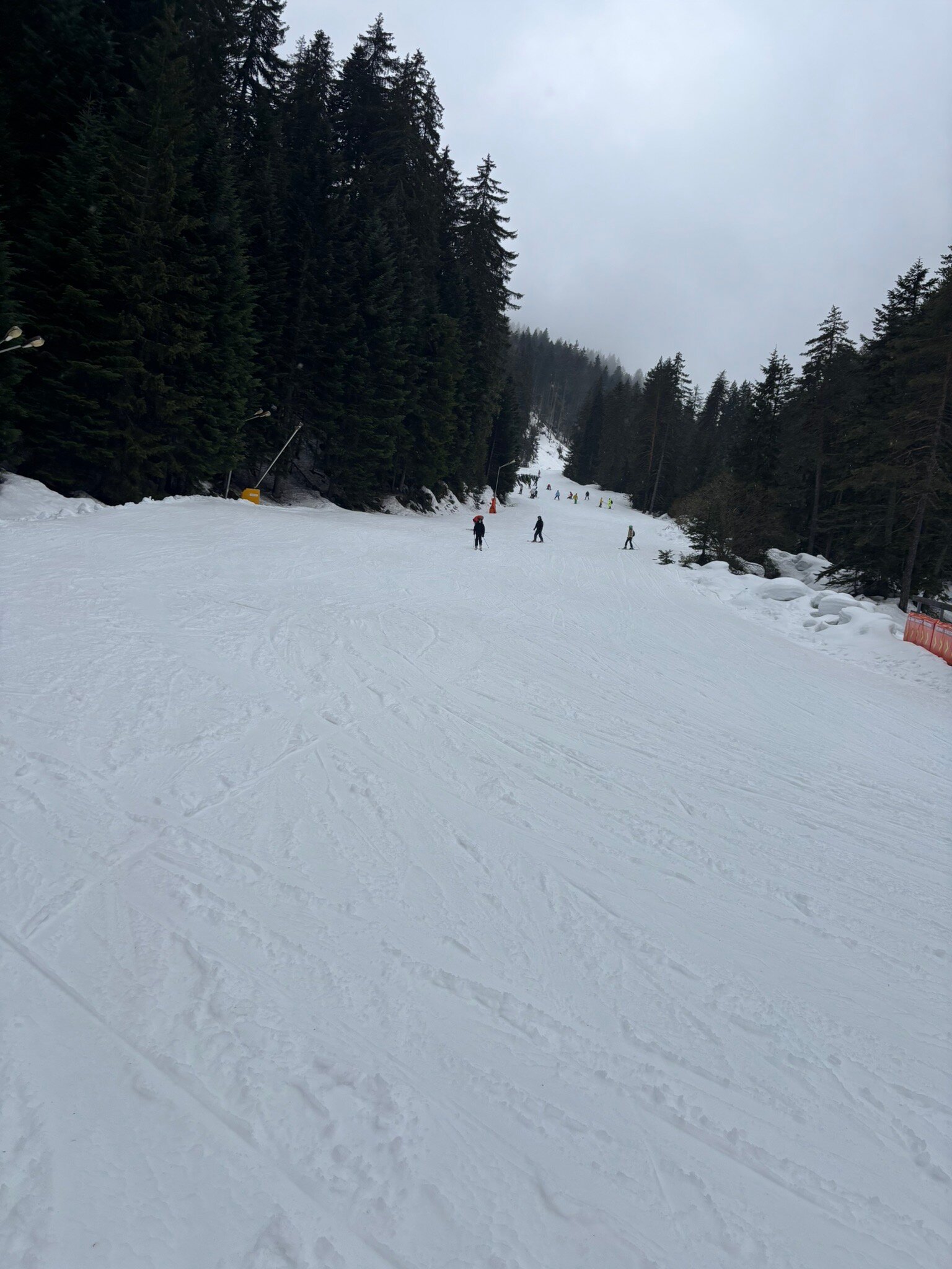 皮林河滑雪及温泉酒店-官方