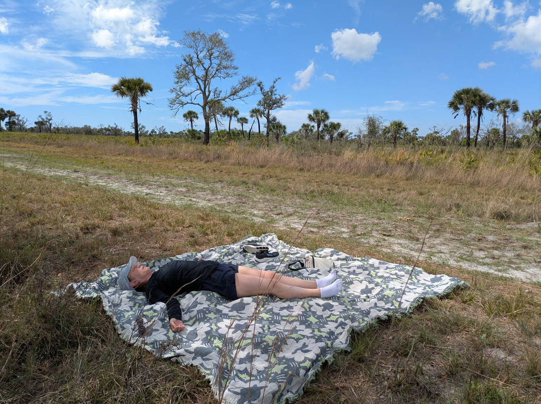 Sarasota Vortex Tours-萨拉索塔必去景点