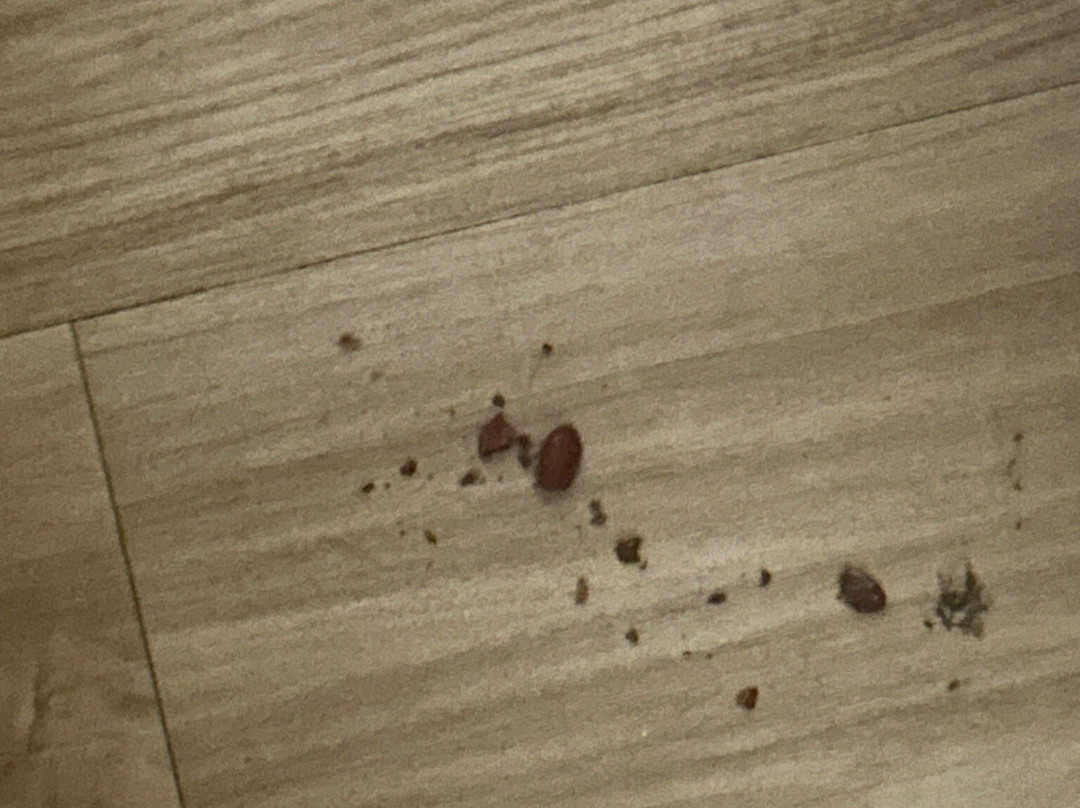 Hotel Samba Linhares