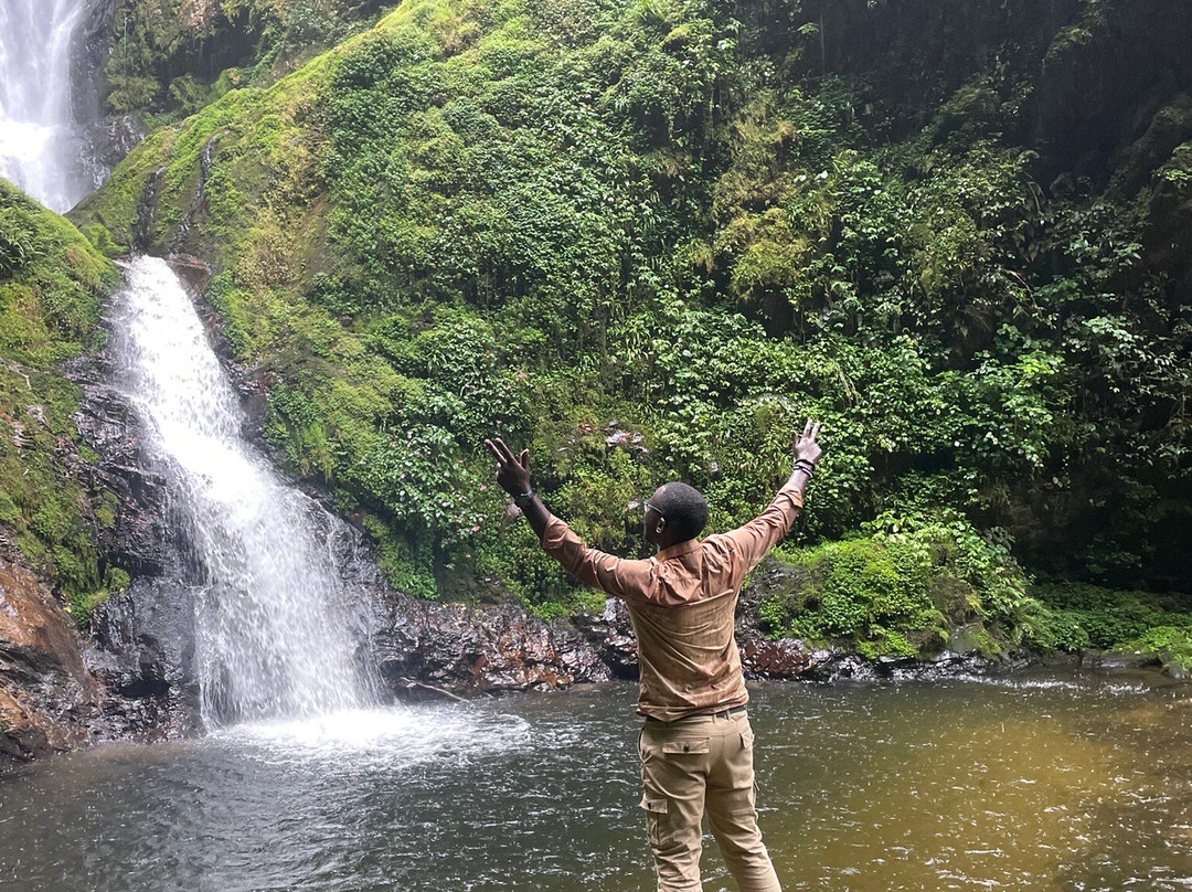 Nyungwe National Park - Rwanda景点图片