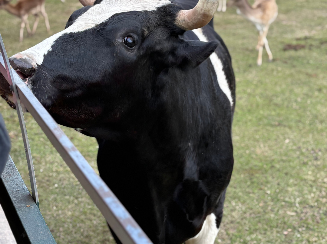 Global Wildlife Center-Folsom必去景点