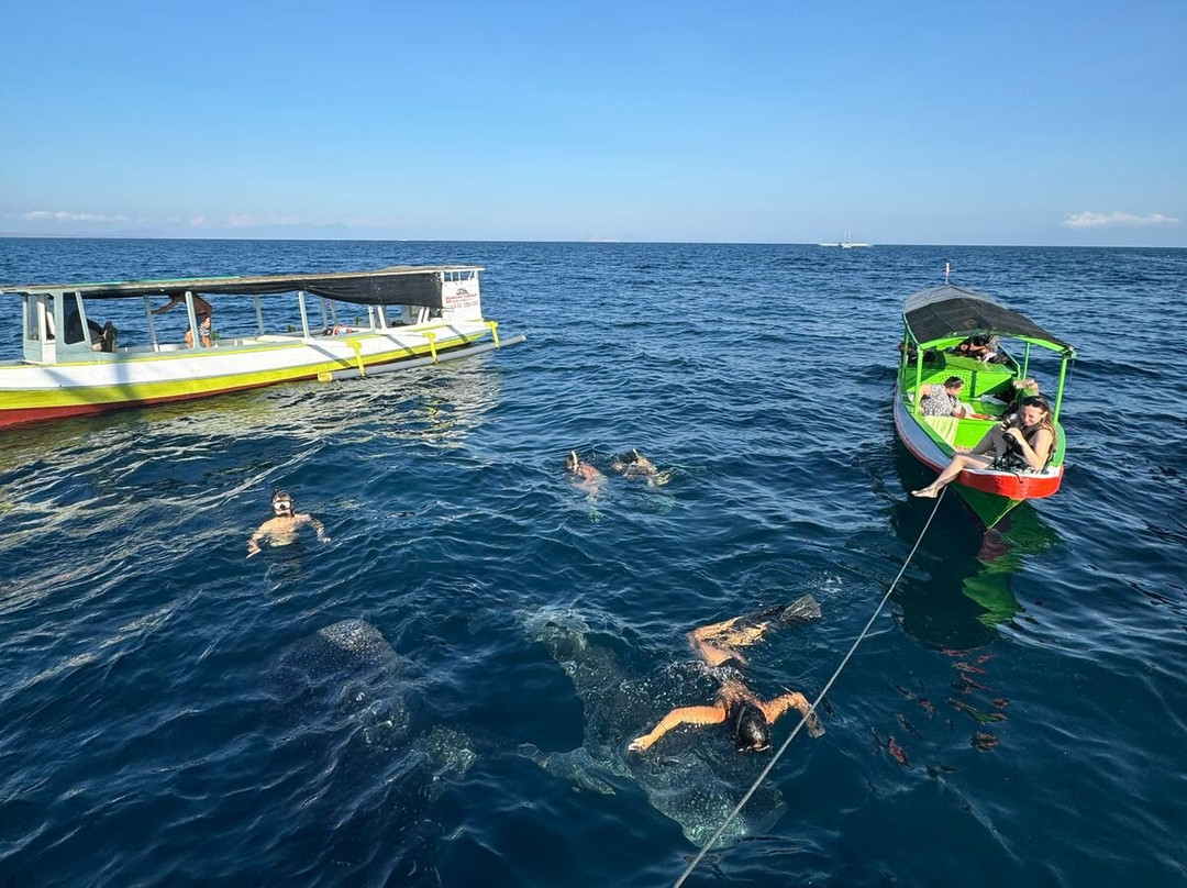 Sumbawa Adventour-Sumbawa Besar必去景点