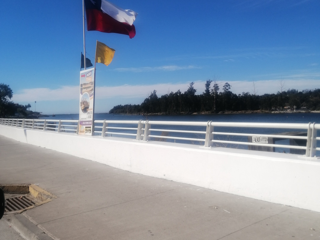 Ramal Talca - Constitucion - Train-Constitucion必去景点