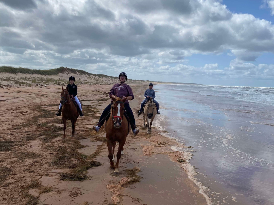 Lakeside Trail Rides-Morell必去景点