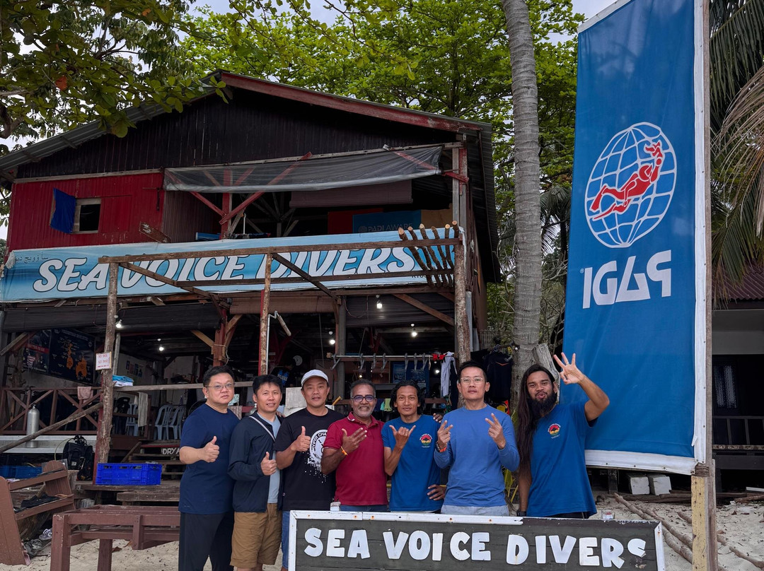 Sea Voice Divers景点图片