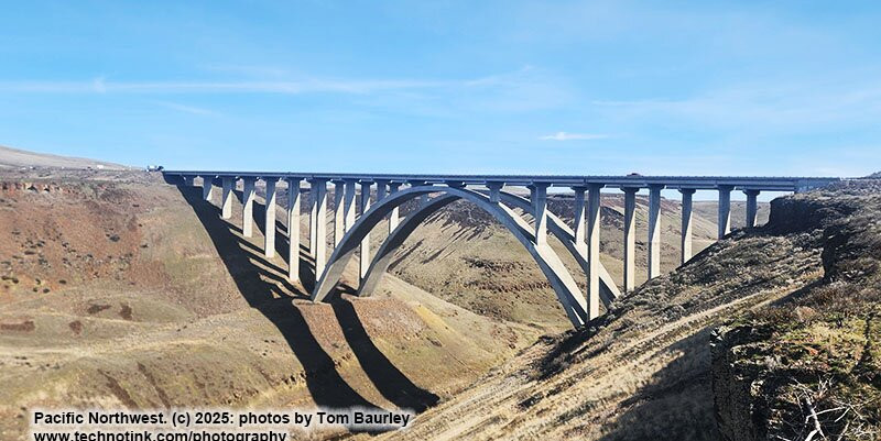 Fred G. Redmon Memorial Bridge景点图片