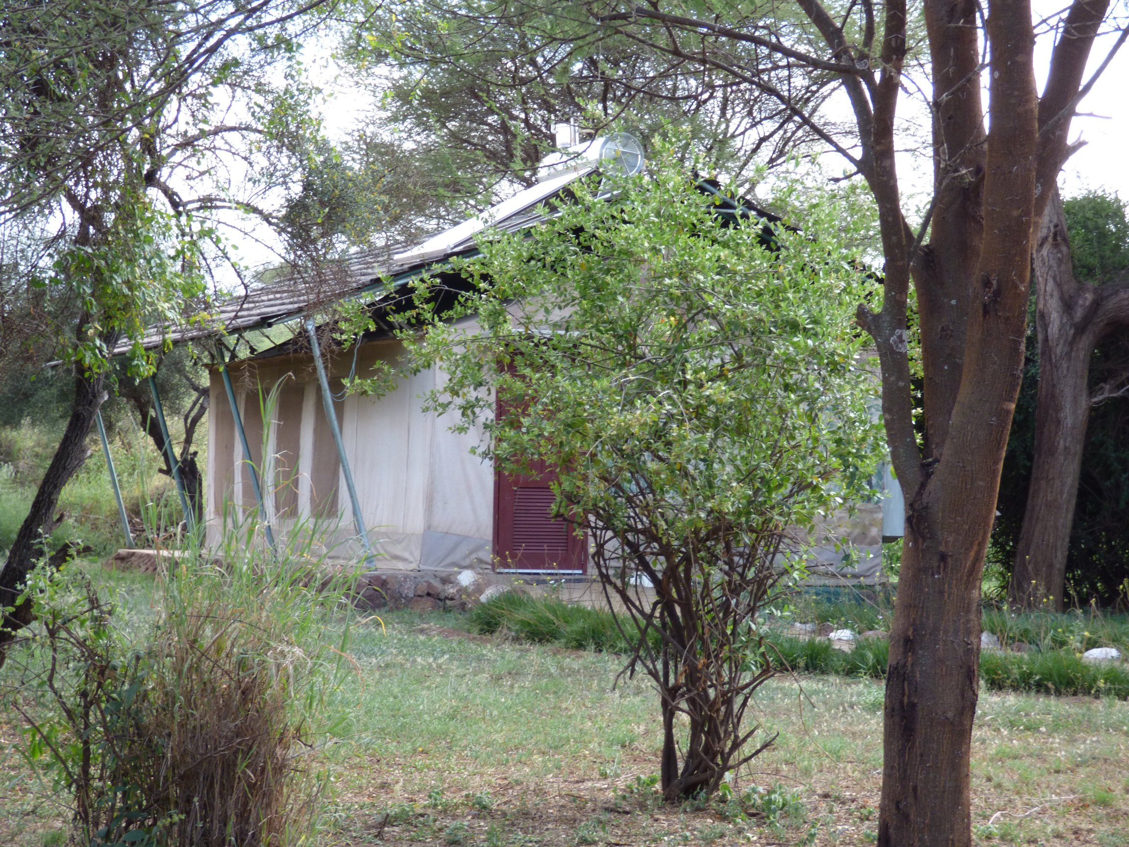 Sentrim Amboseli Lodge-客卧