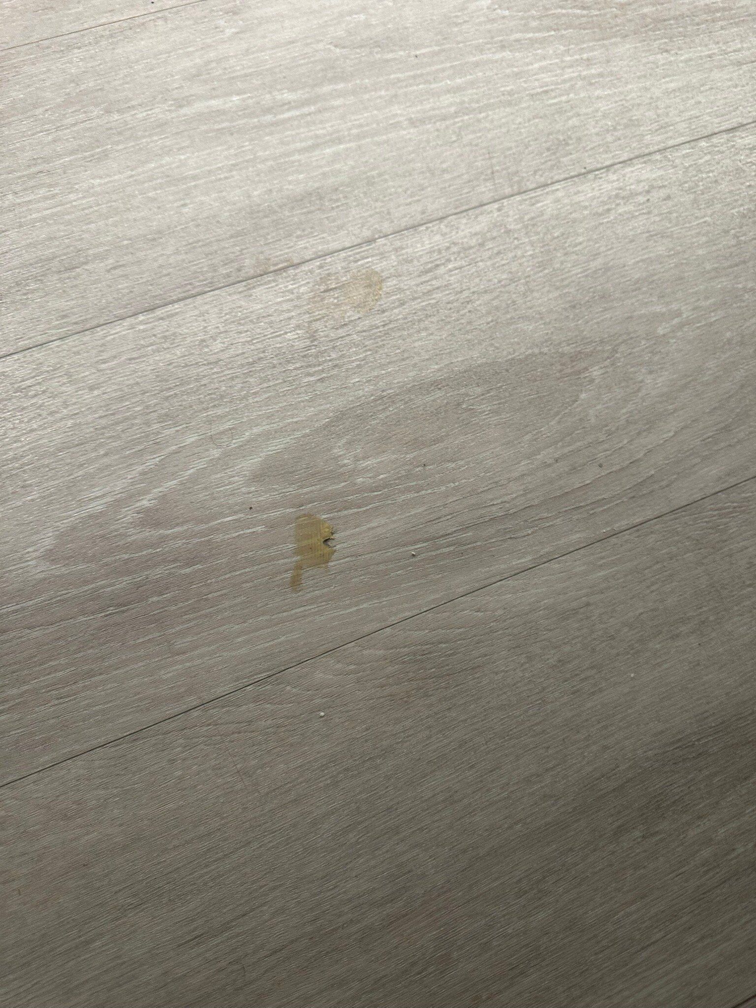 Ac Hotel Tuscaloosa Downtown-官方