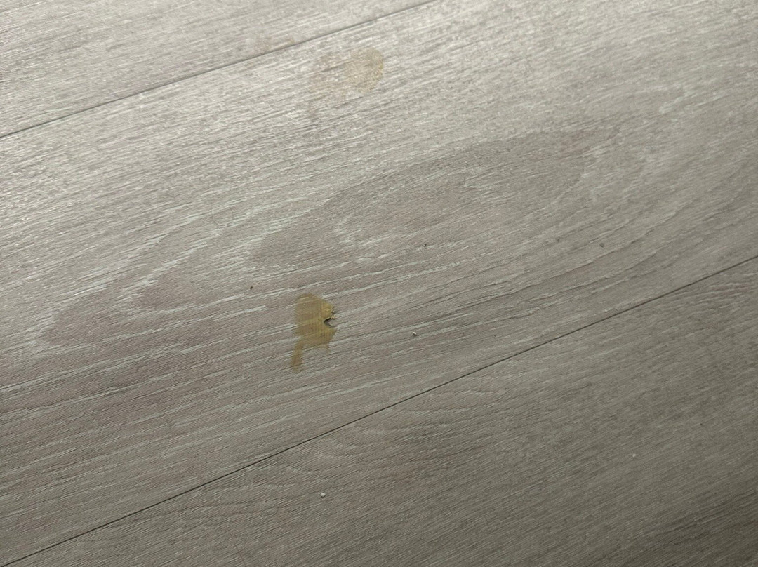 Ac Hotel Tuscaloosa Downtown主图