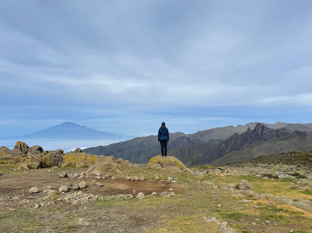 Trackless Wild.-阿鲁沙必去景点
