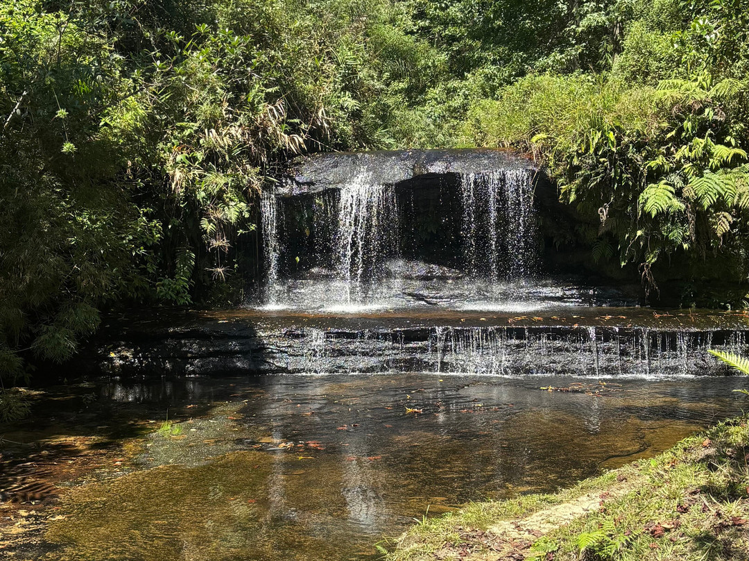 Cachoeira Salto do Zinco-Benedito Novo必去景点